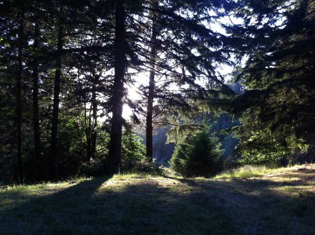 Camp M in the morning